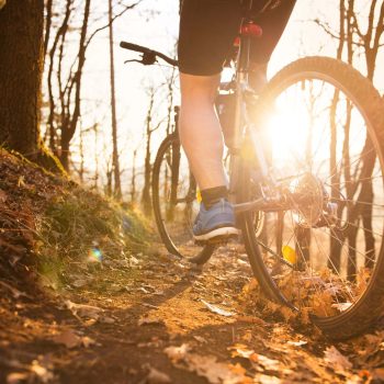 Kelo Rental & Safaris - e-fatbike rental Levi. Ski rental Levi, Ski rental Levi, e-fatbike rental Levi, e-fatbike safaris Levi, equipment rental Levi, safaris Levi, Kelo Rental & Safaris